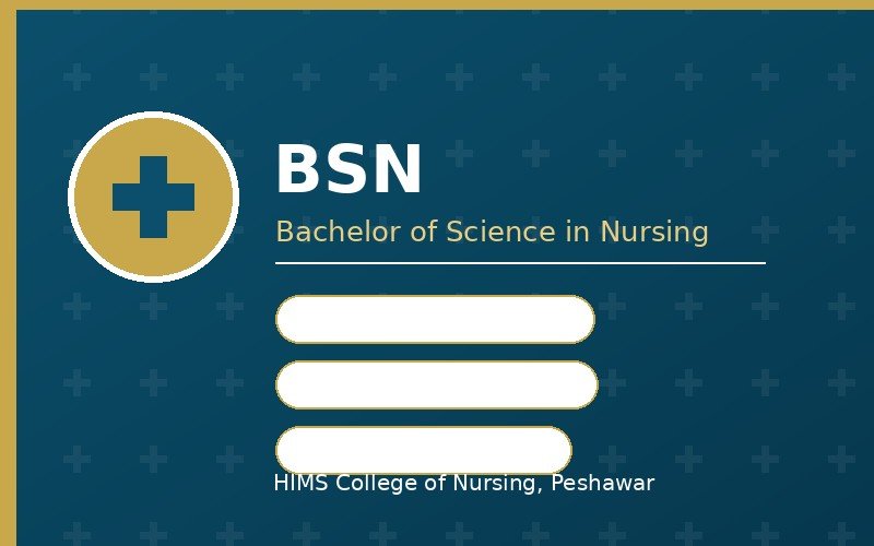 BSN Programme